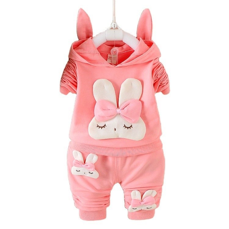Toddler Girls 2 Piece Hoodie Sweatshirt and Pants
