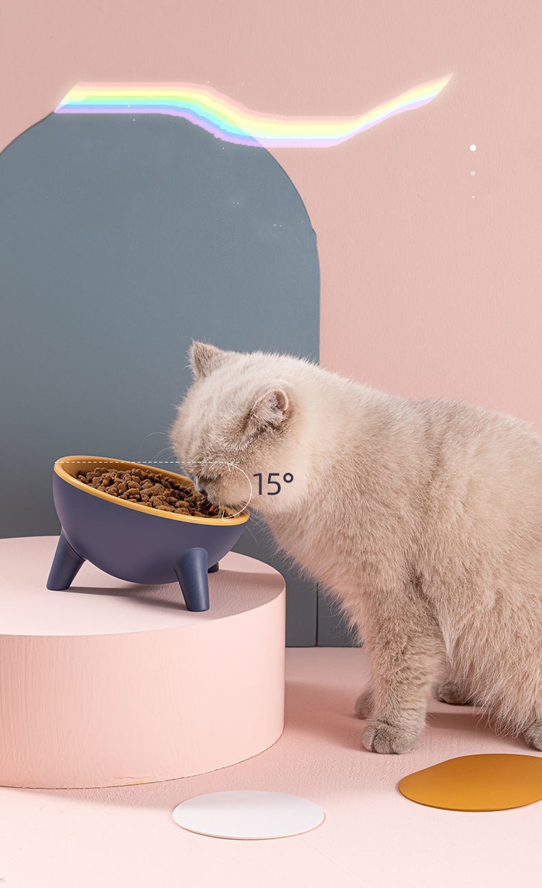 Pet Feeding Bowls - Image 2
