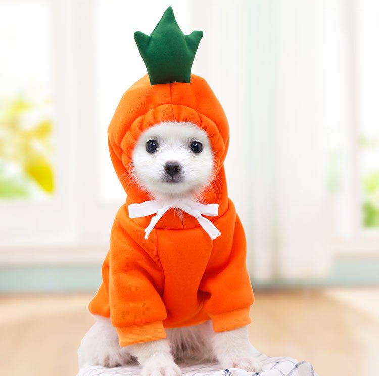 Fruit Small Dog Clothes - Image 9