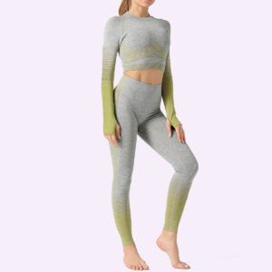 Women Seamless 2 Pcs Yoga Gym Sets