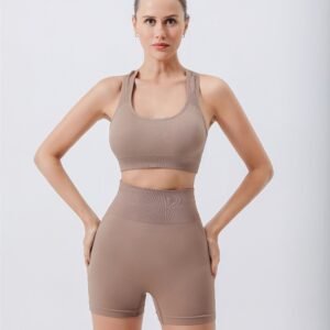 Women 2 Piece Seamless Yoga Outfits