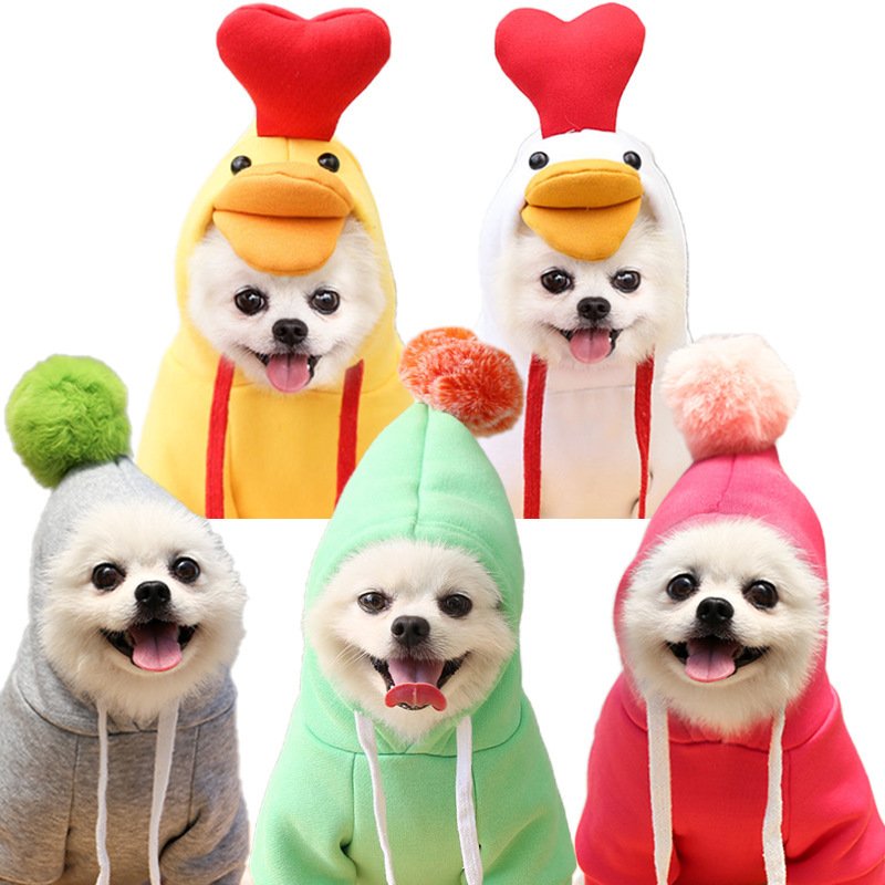 Fruit Small Dog Clothes - Image 8