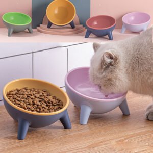 Pet Feeding Bowls