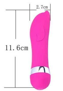 Sex Toys For Women Realistic Dildo Mini - Image 6