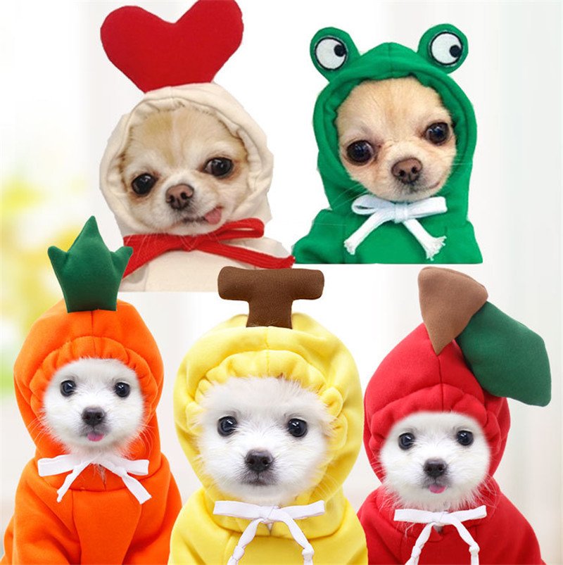 Fruit Small Dog Clothes - Image 7