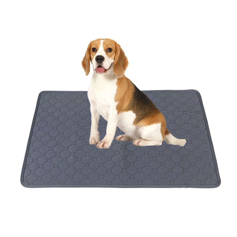 Washable Training Pads For Dogs - Image 2